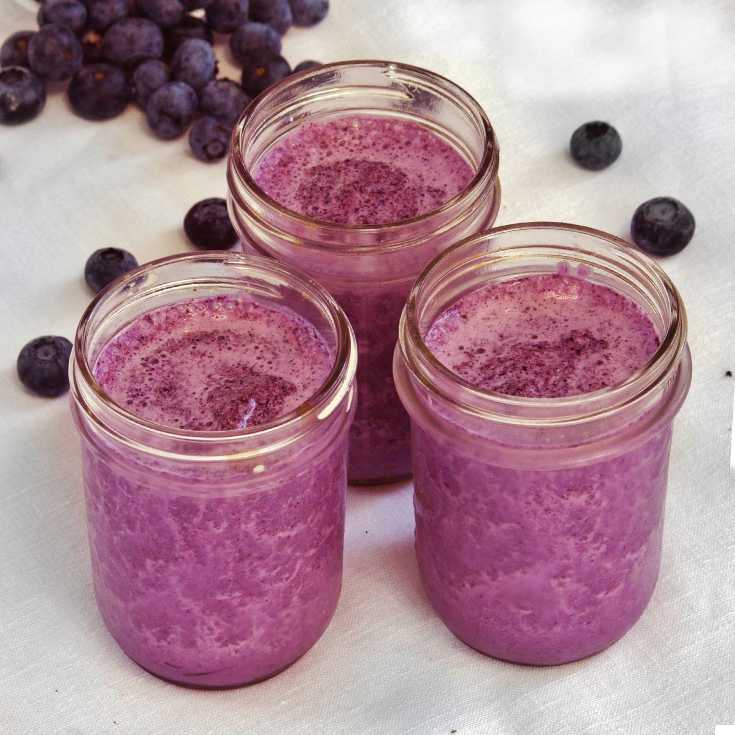 Blueberry Yogurt Smoothie